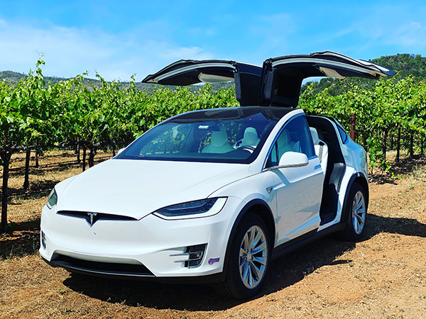 Tour in Tesla Model X